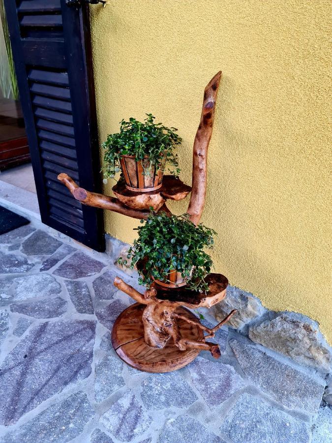 Casa Villanova Homes Nova Vas nad Dragonjo Luaran gambar